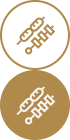 经典烧烤